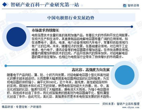 电极箔产业发展历程、竞争格局与市场前景研究